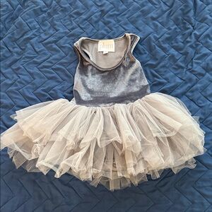 Plum Silver Velvet and Tulle Dress